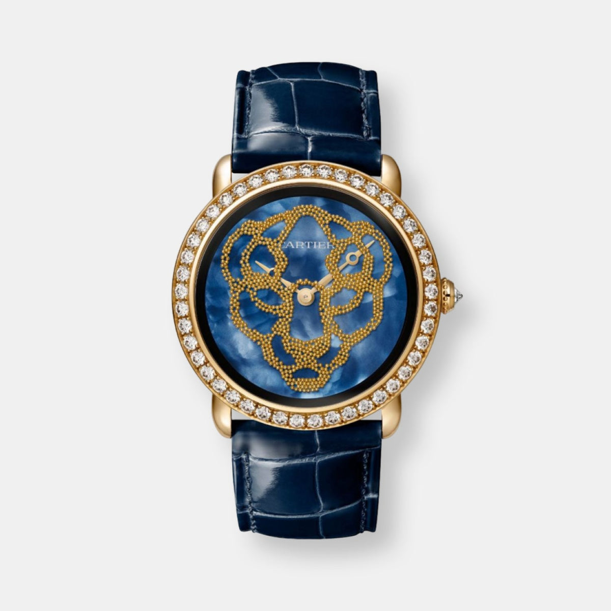 Montre révélation d'une panthère