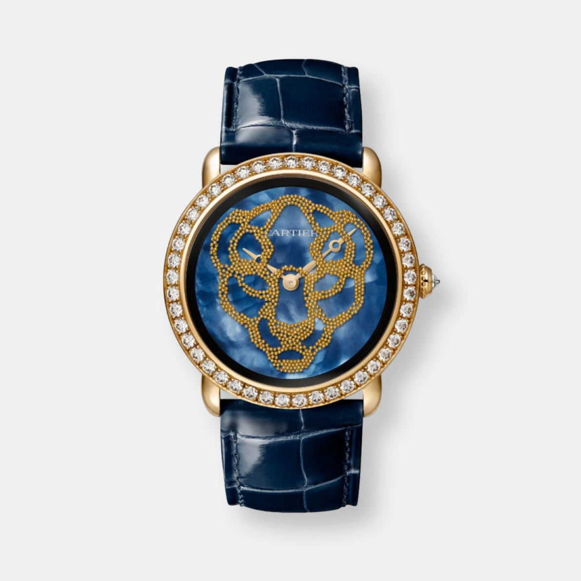 Montre révélation d'une panthère