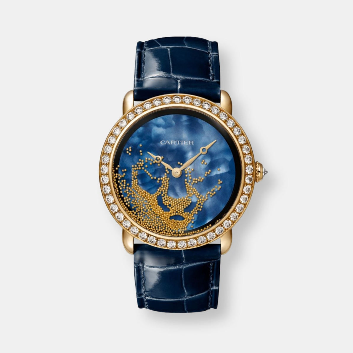 Montre révélation d'une panthère