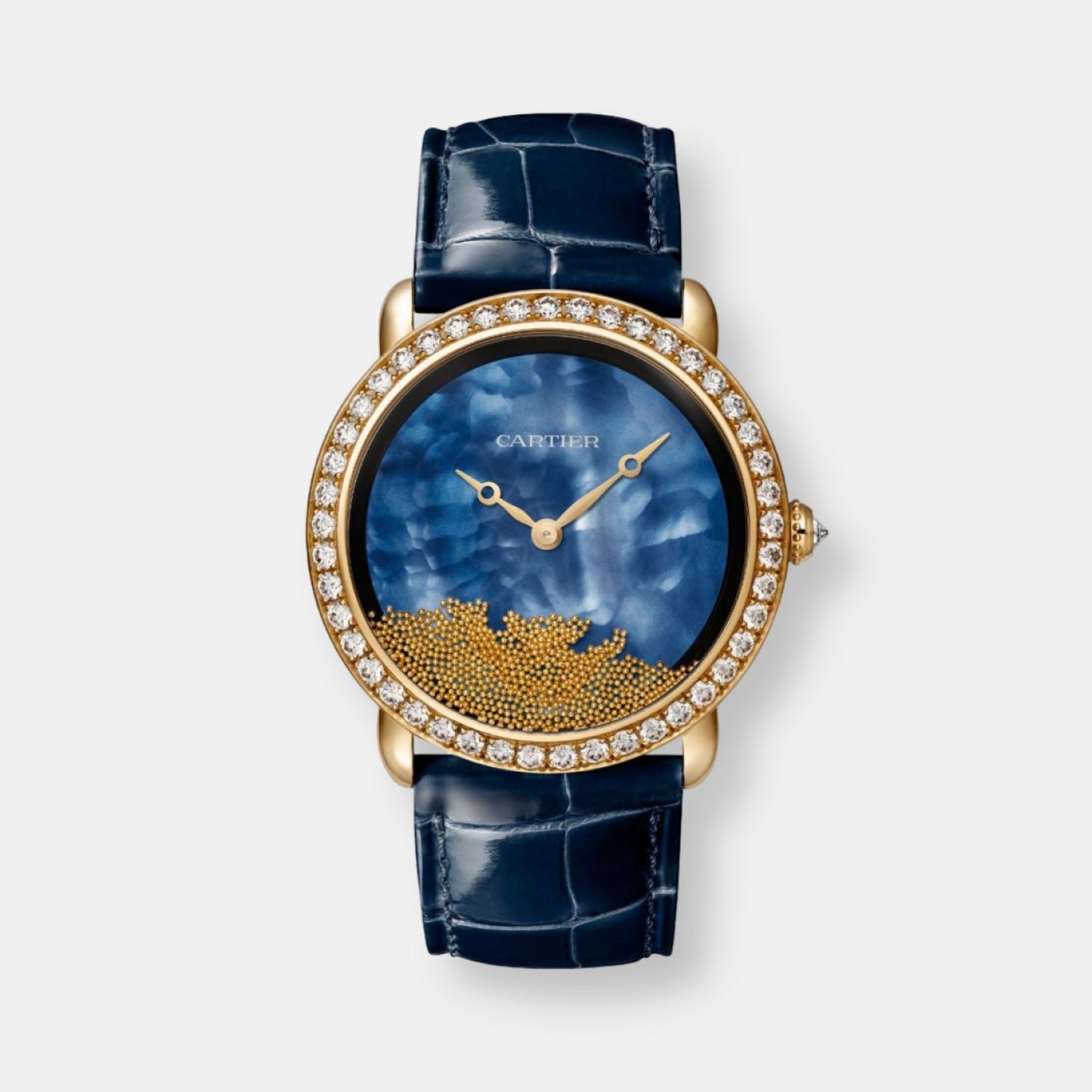 Montre révélation d'une panthère