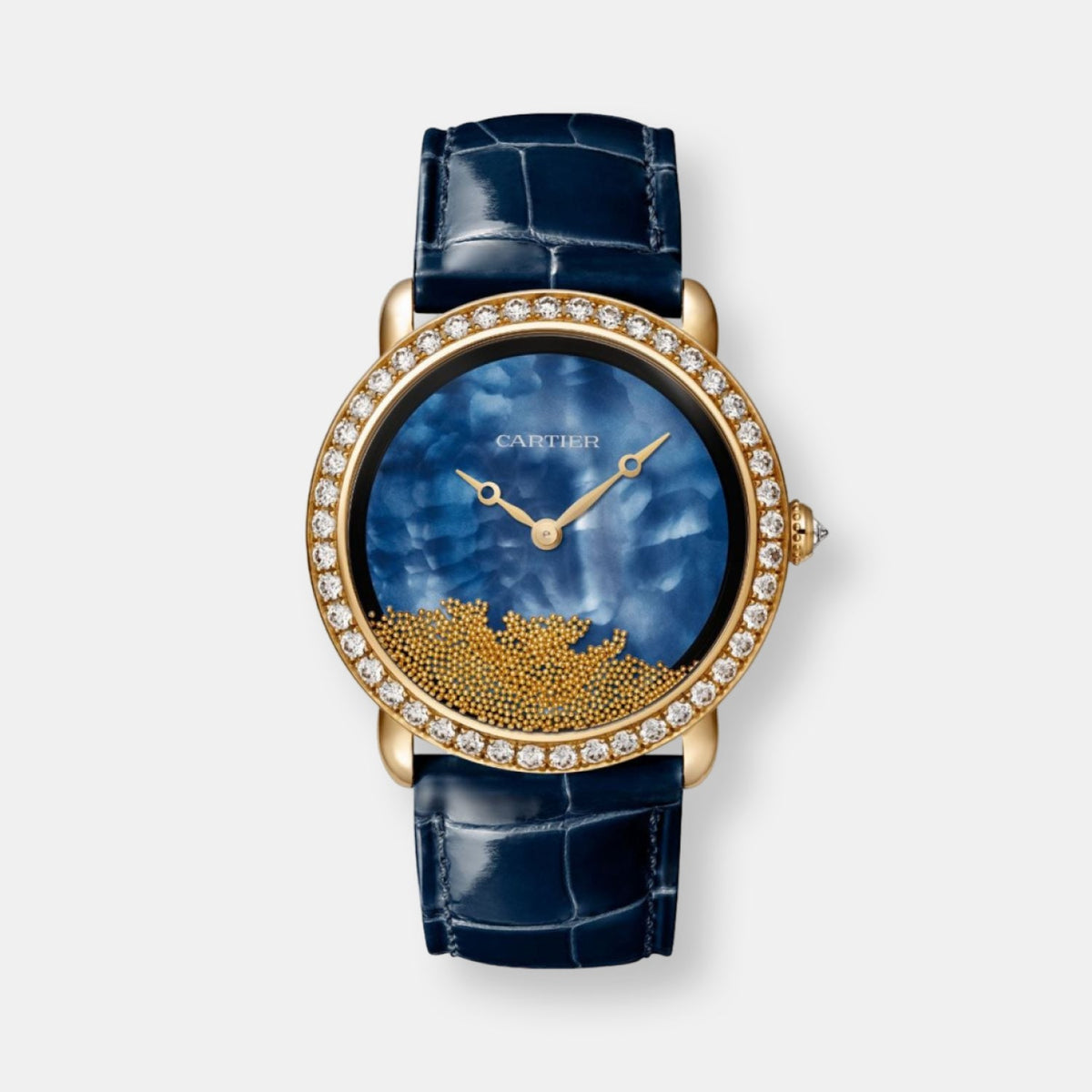 Montre révélation d'une panthère