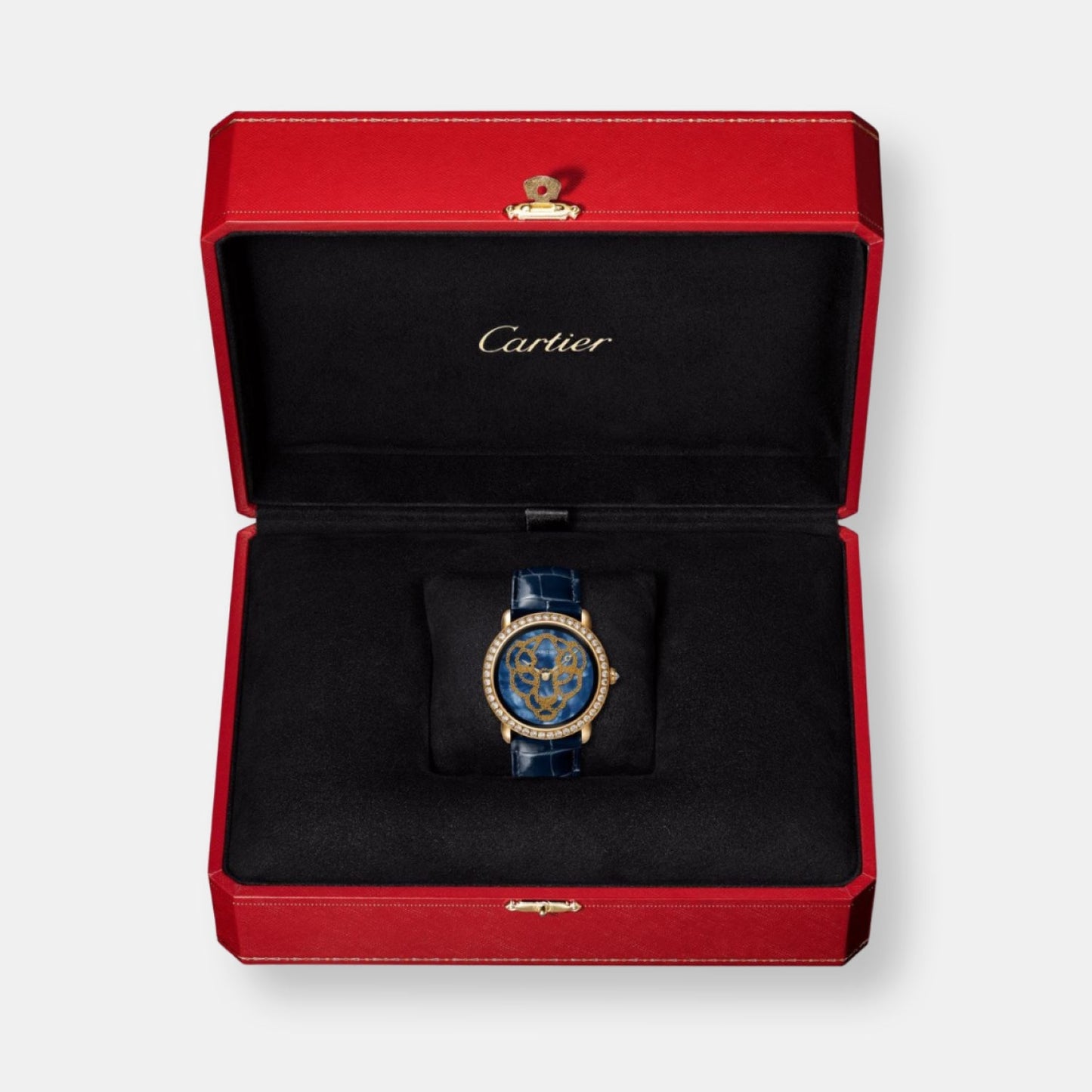 Montre révélation d'une panthère
