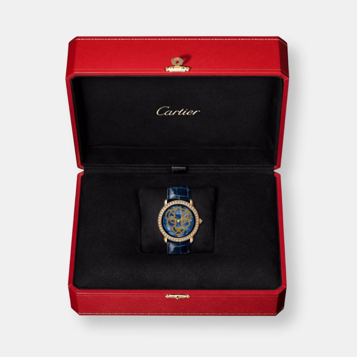 Montre révélation d'une panthère