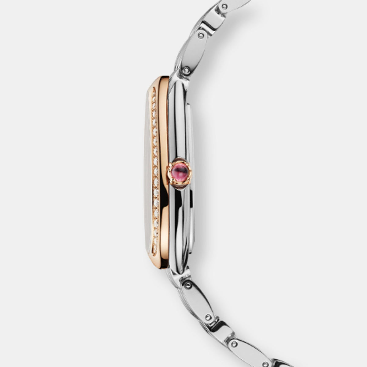 Montre serpenti seduttori