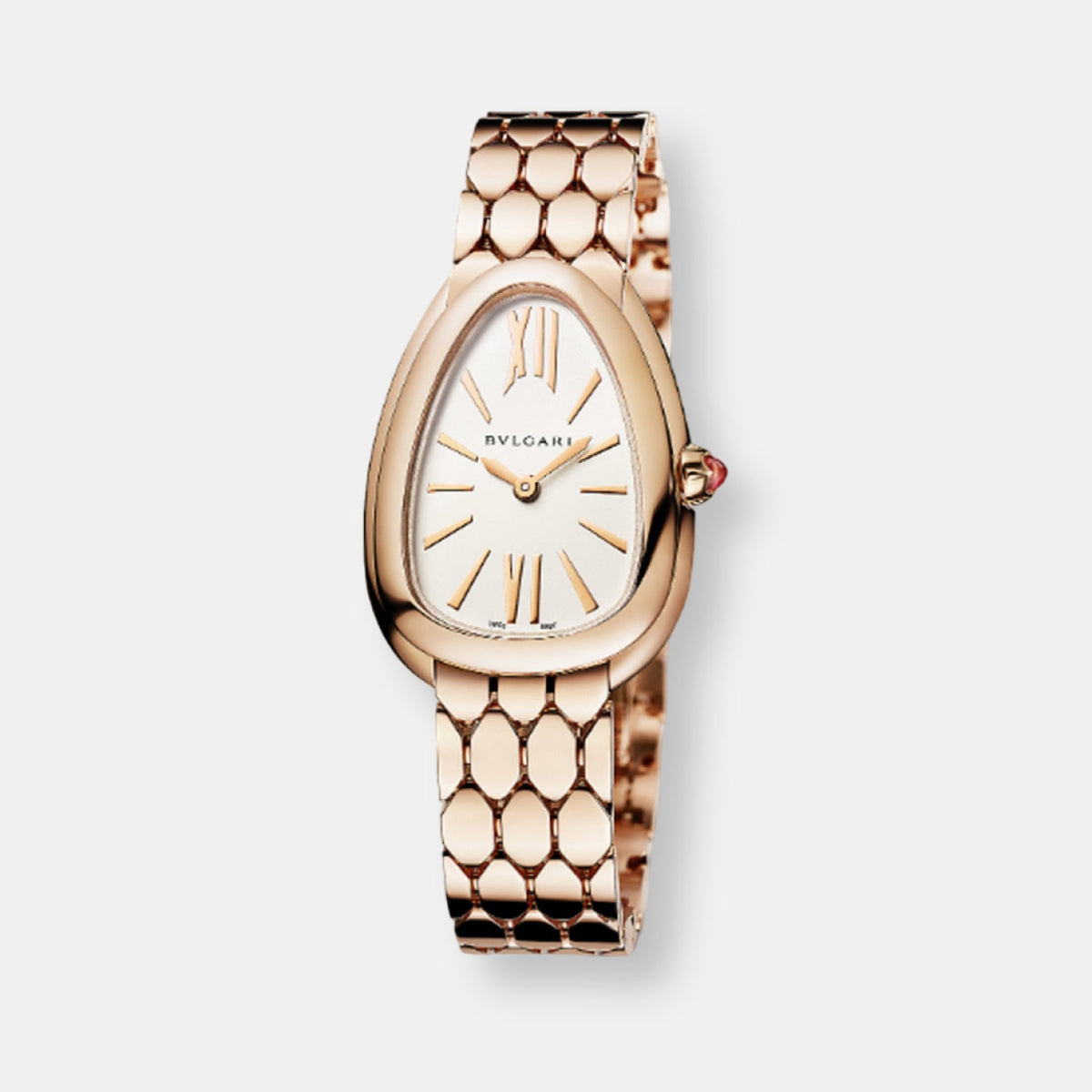 Montre serpenti seduttori