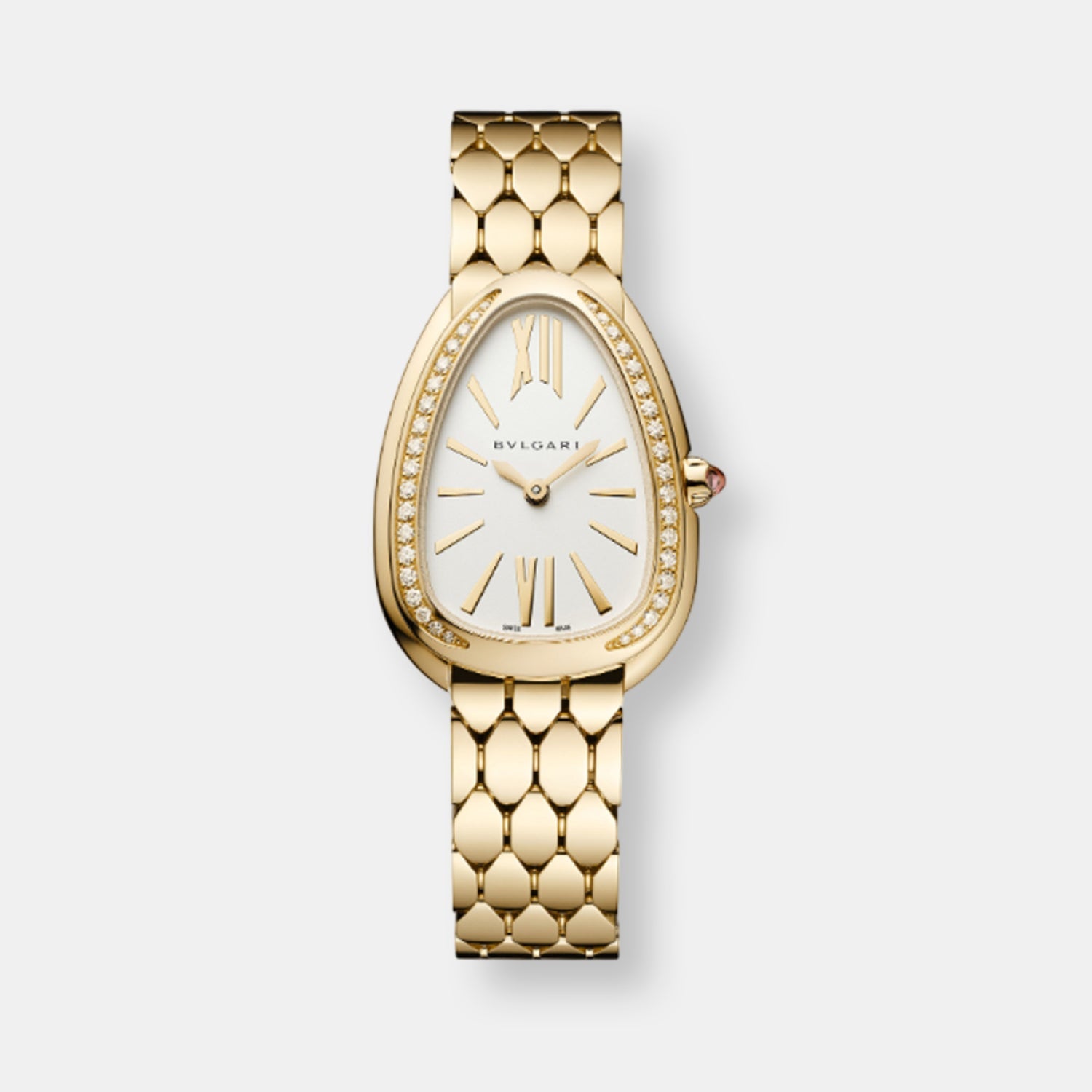 Montre serpenti seduttori