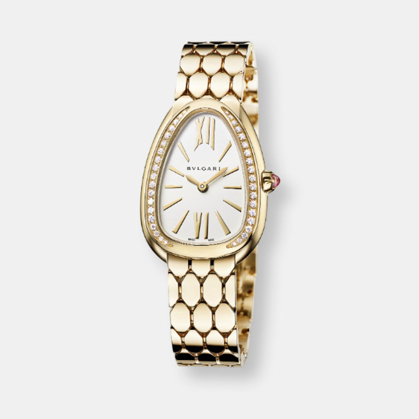 Montre serpenti seduttori