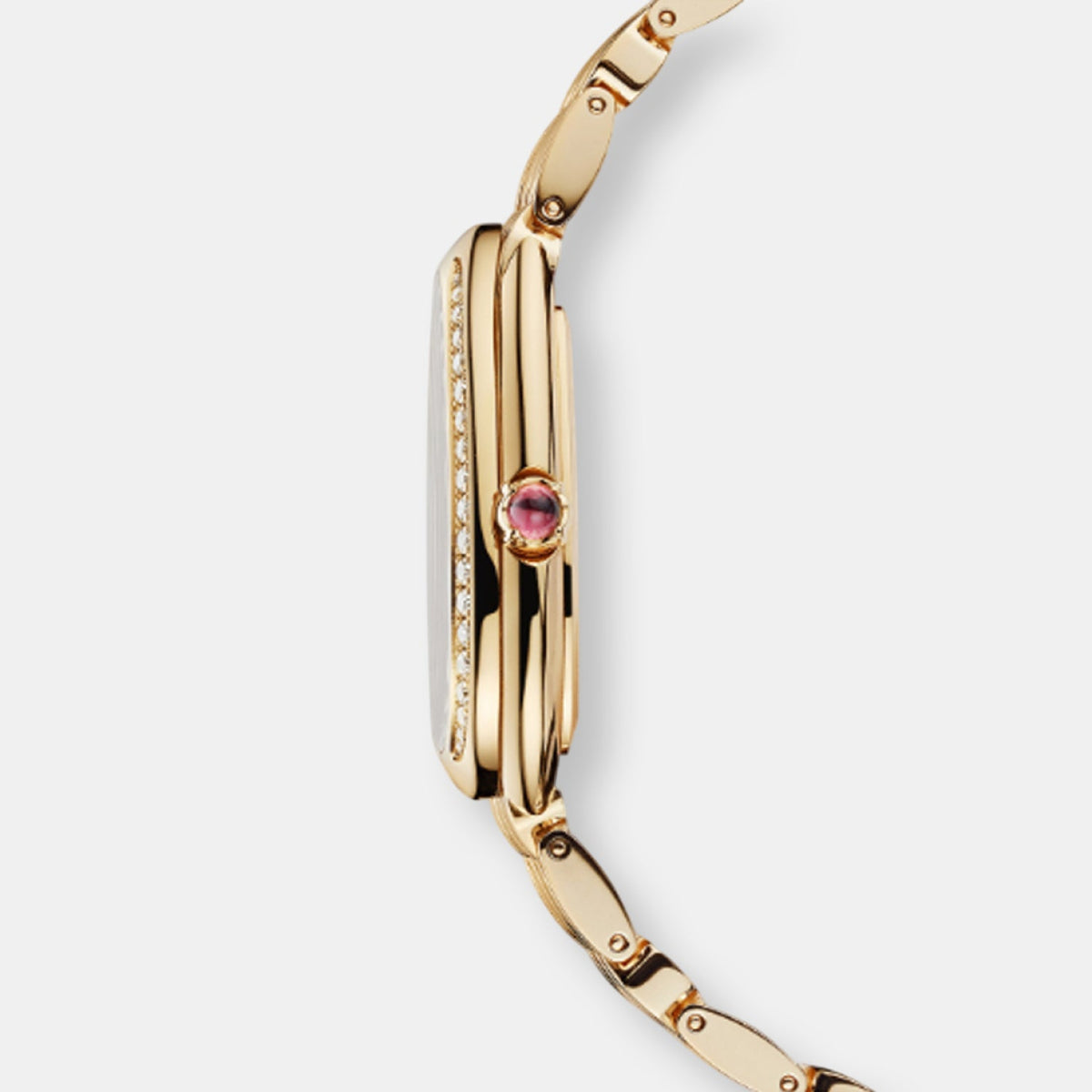 Montre serpenti seduttori