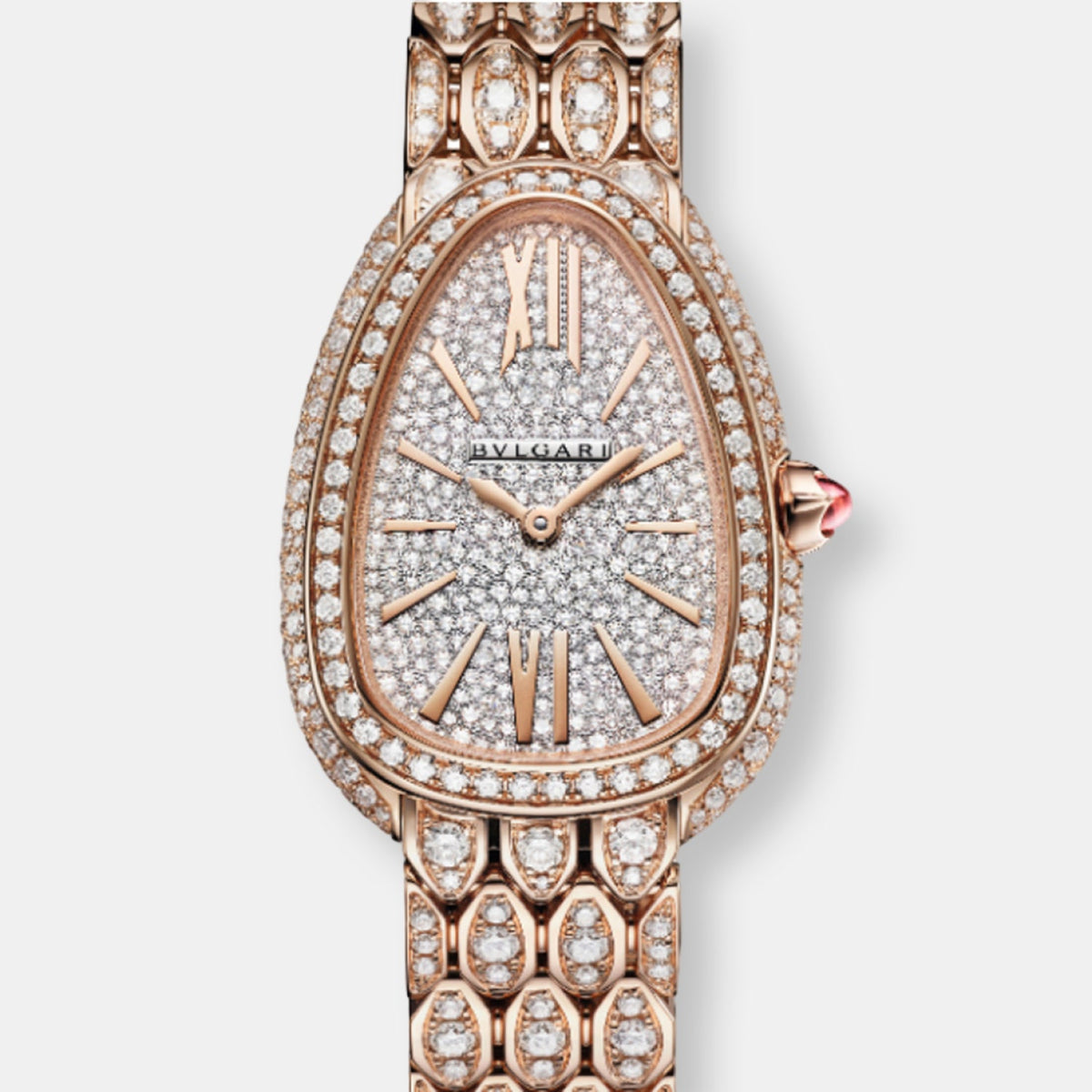 Montre serpenti seduttori