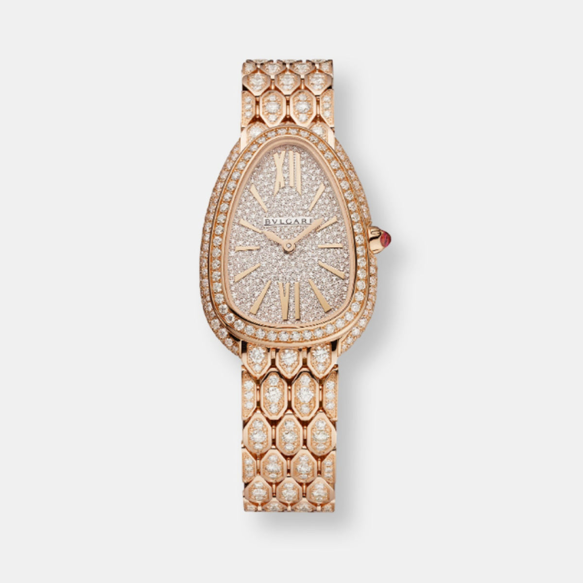 Montre serpenti seduttori