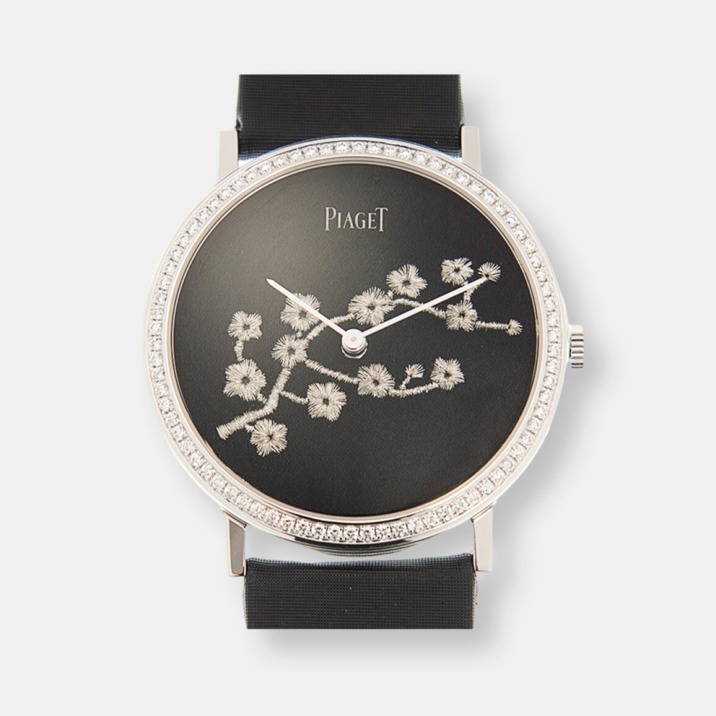 Montre altiplano