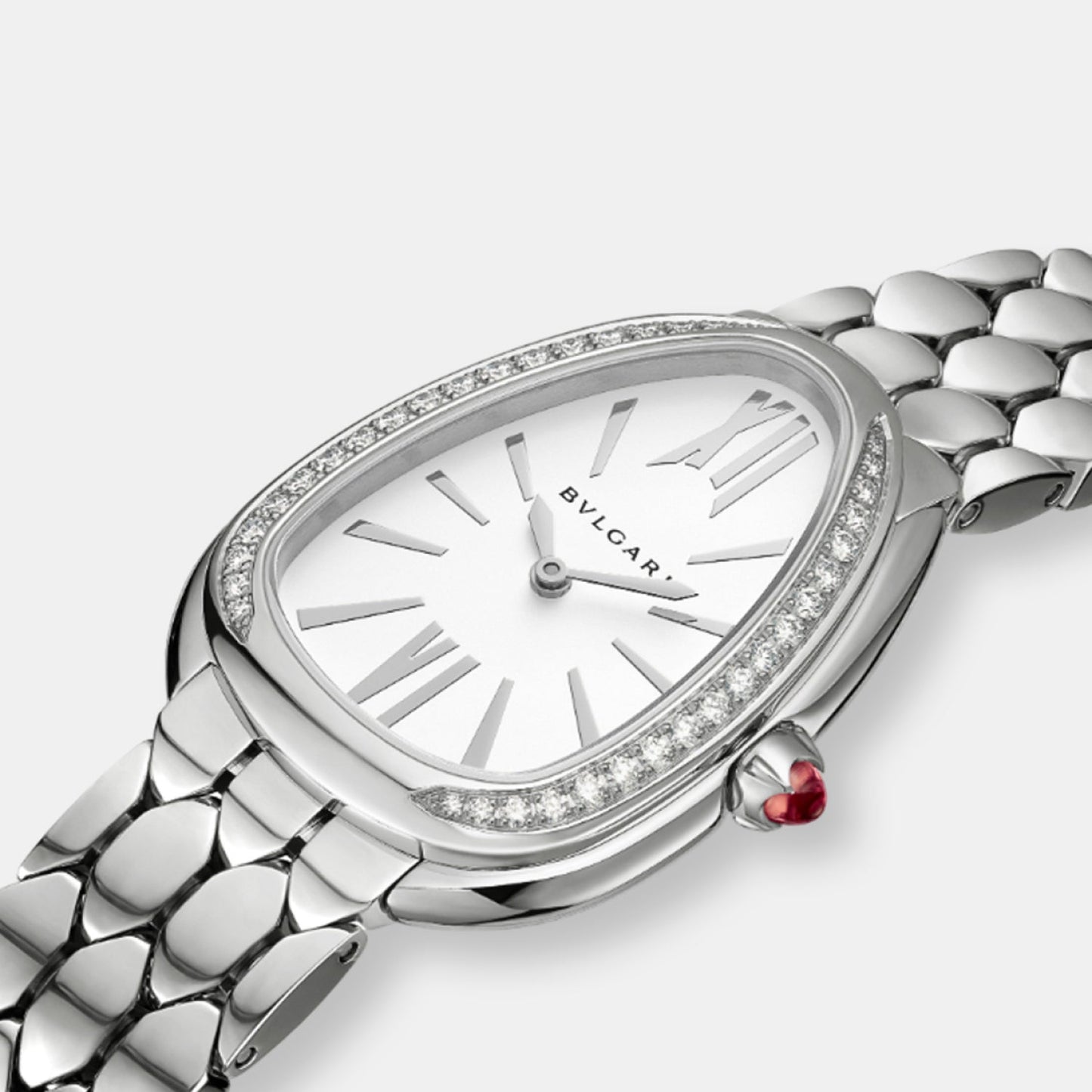 Montre serpenti seduttori