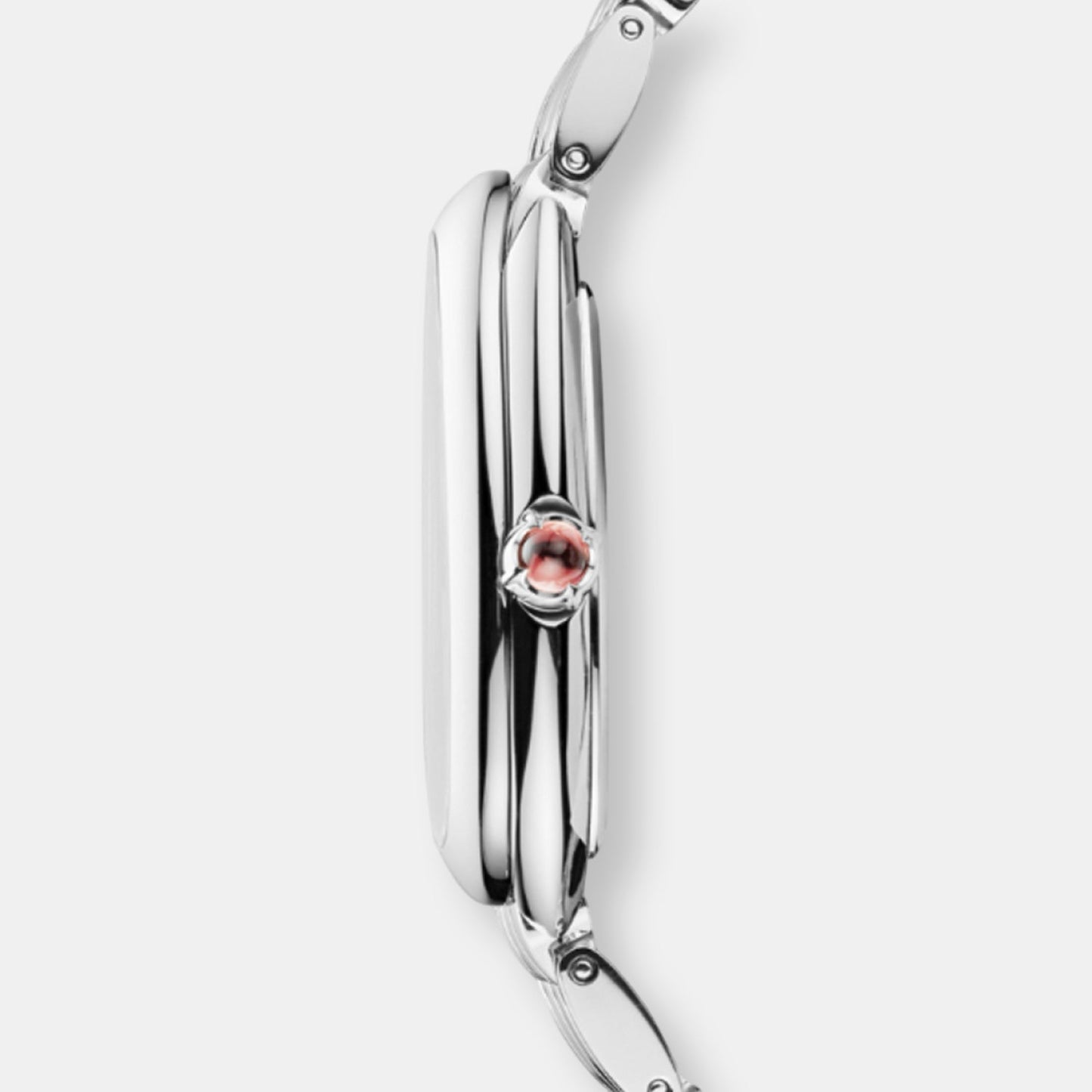 Montre serpenti seduttori