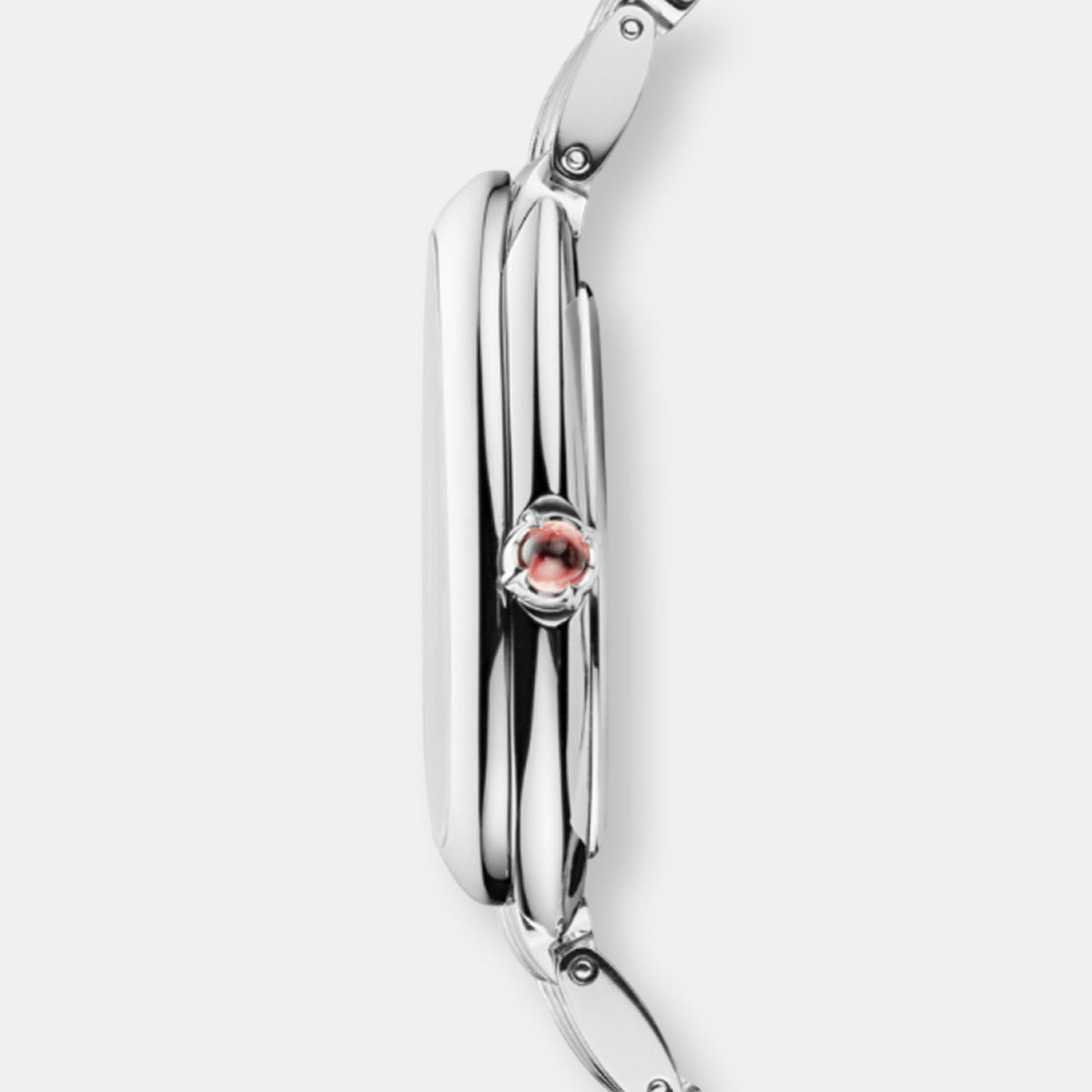 Montre serpenti seduttori