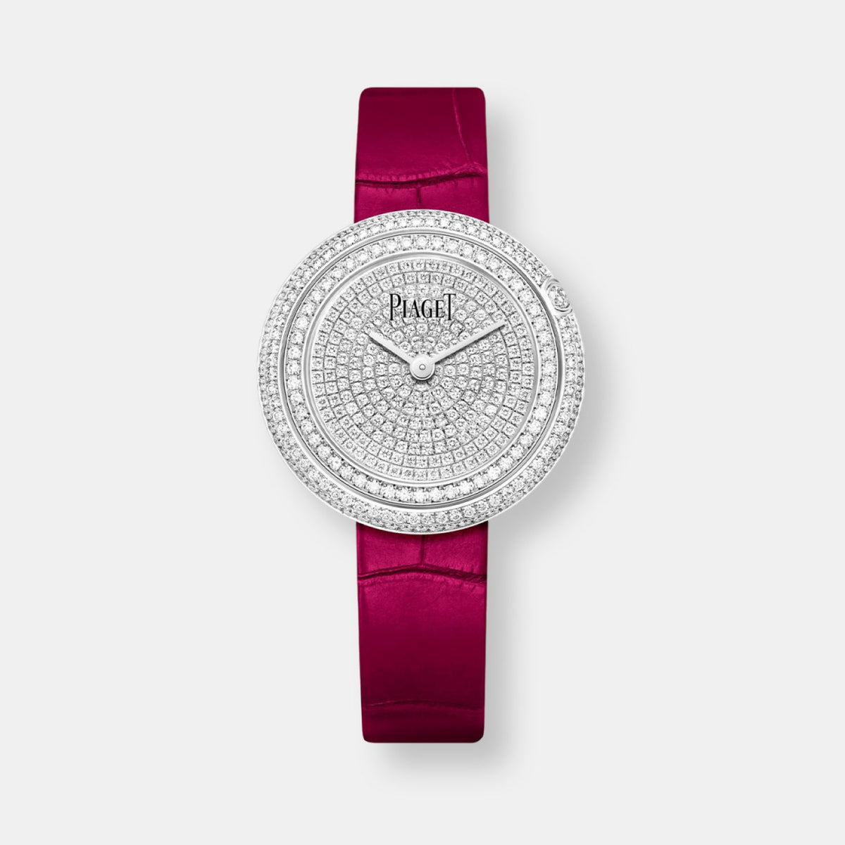 Montre possession