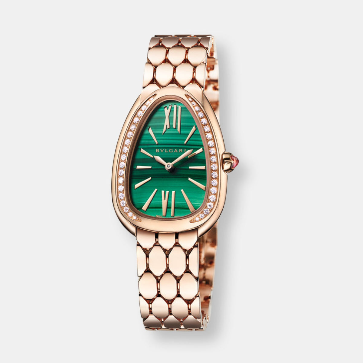 Montre serpenti seduttori