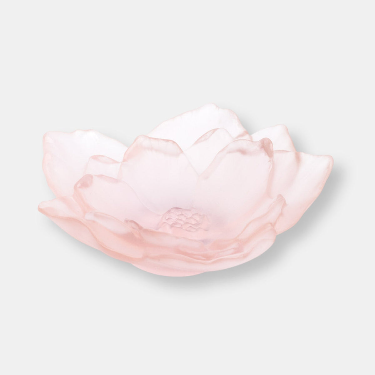 Petit bol rose camelia