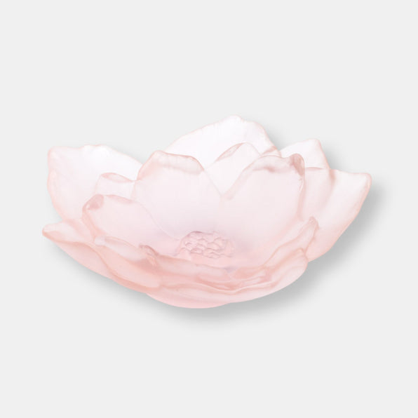Petit bol rose camelia