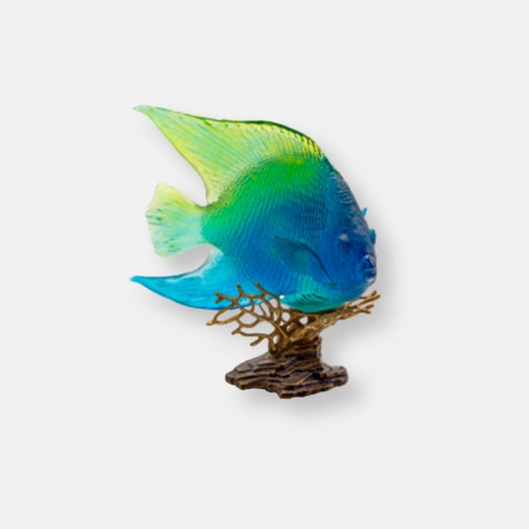 Bleu jaune royal angelfish mer de corail