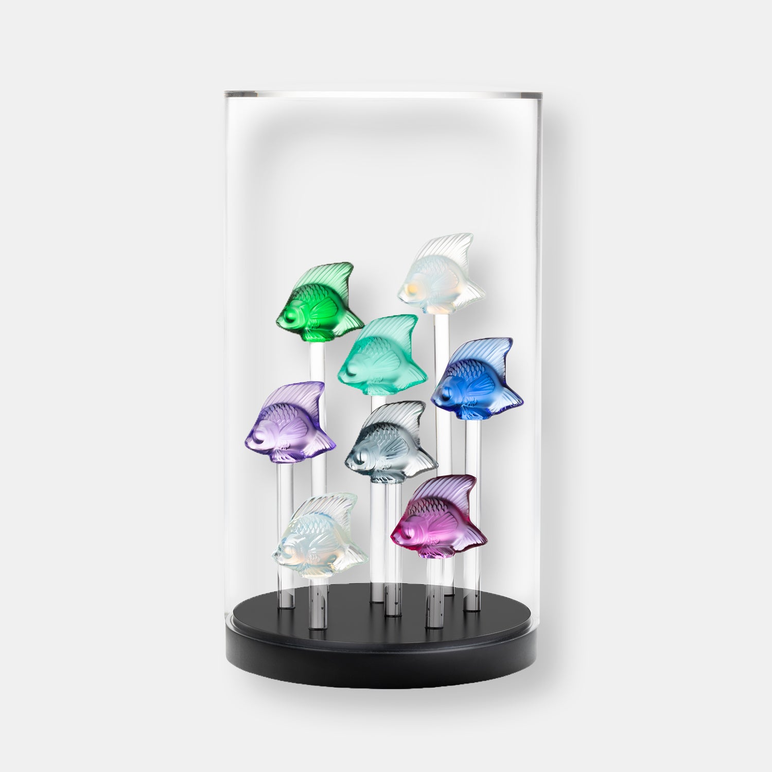 Aquarium base + cloche toit plat