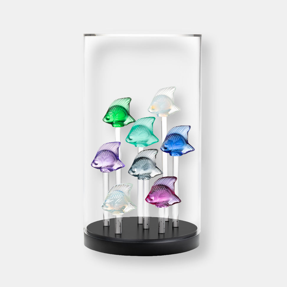 Aquarium base + cloche toit plat