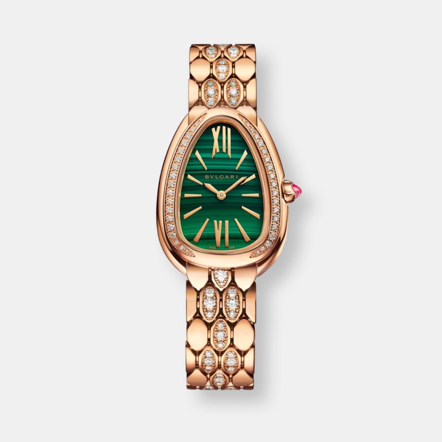 Montre serpenti seduttori