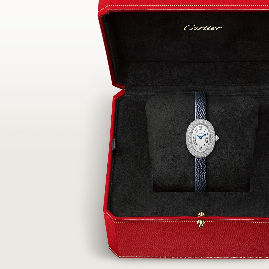 Montre baignoire