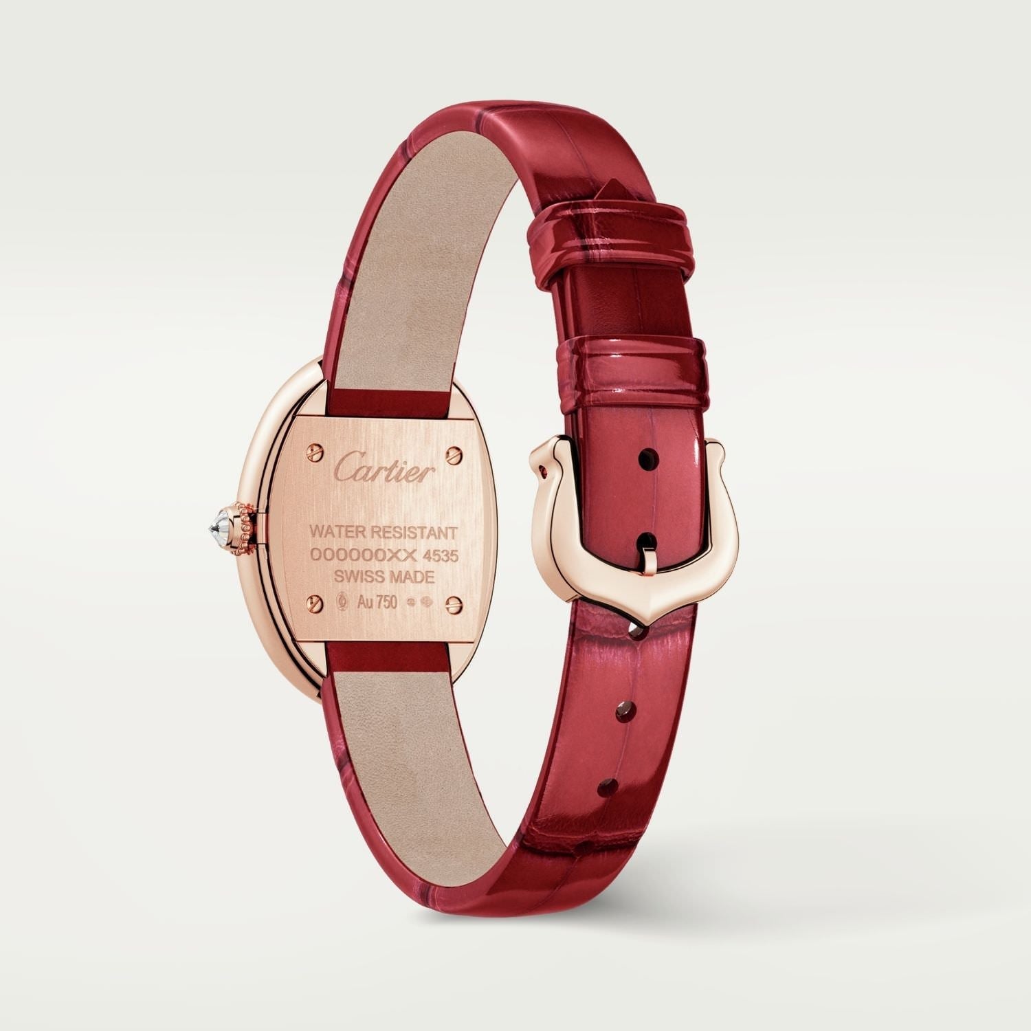 Montre baignoire