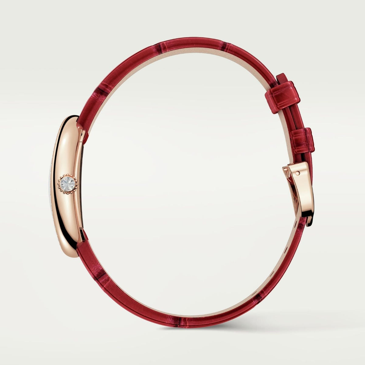 Montre baignoire