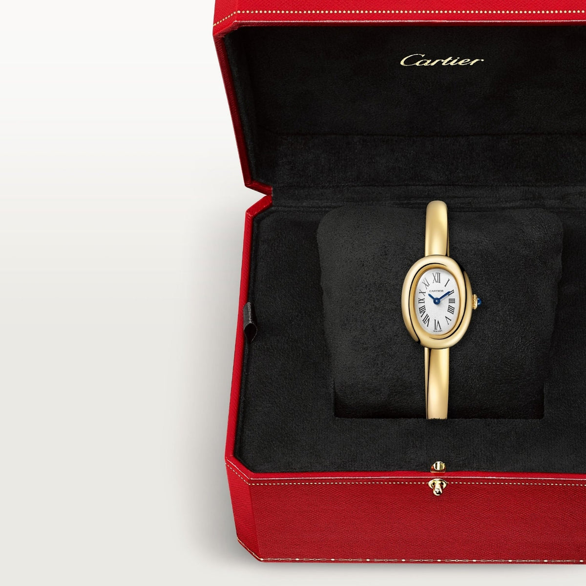Montre baignoire