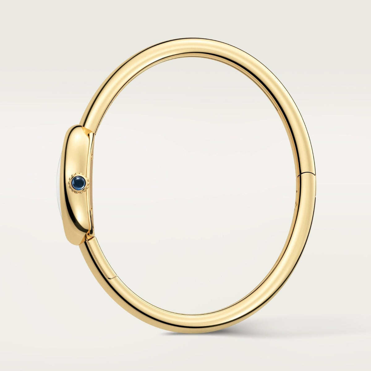 Montre baignoire
