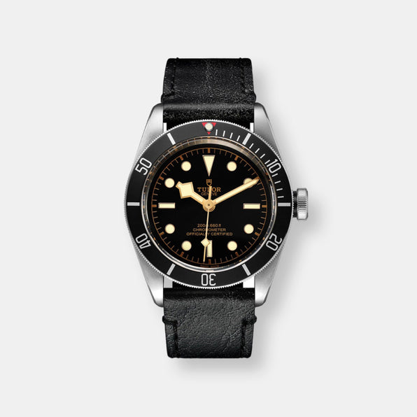 Montre tudor black bay