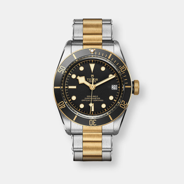 Montre tudor black bay s&g