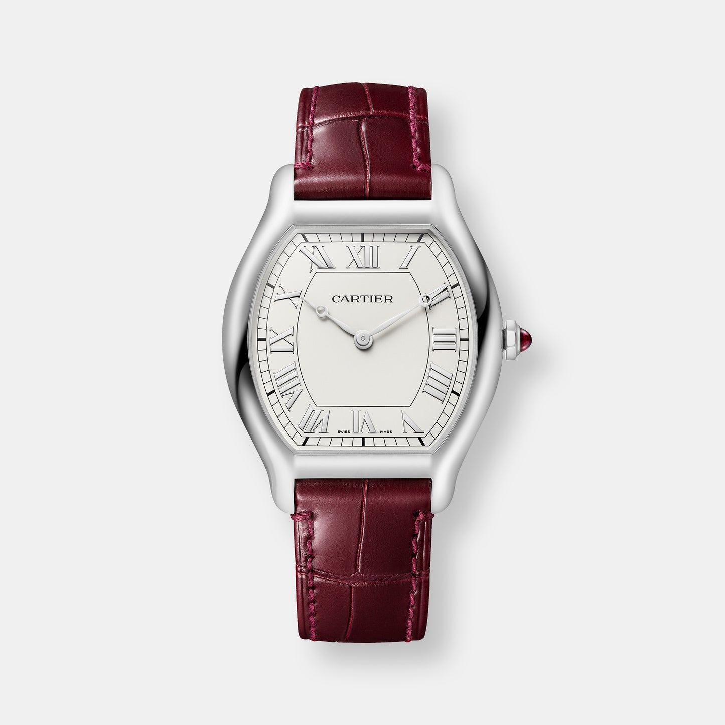 Montre tortue edition limitée à 200 exemplaires