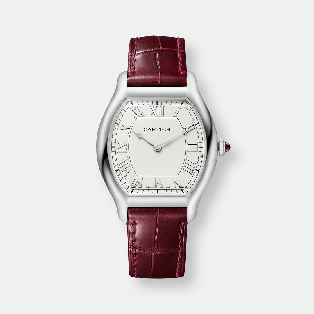 Montre tortue edition limitée à 200 exemplaires