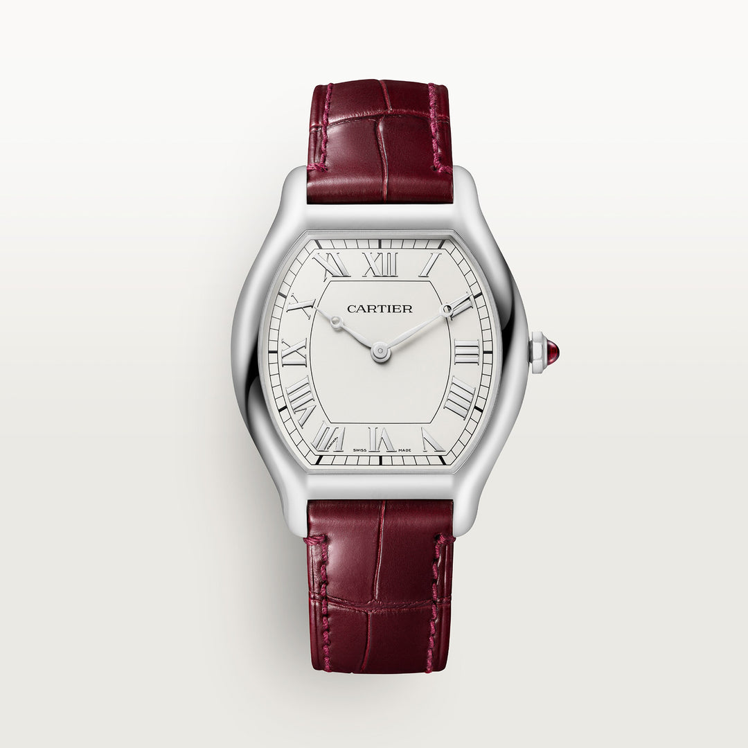 Montre tortue edition limitée à 200 exemplaires