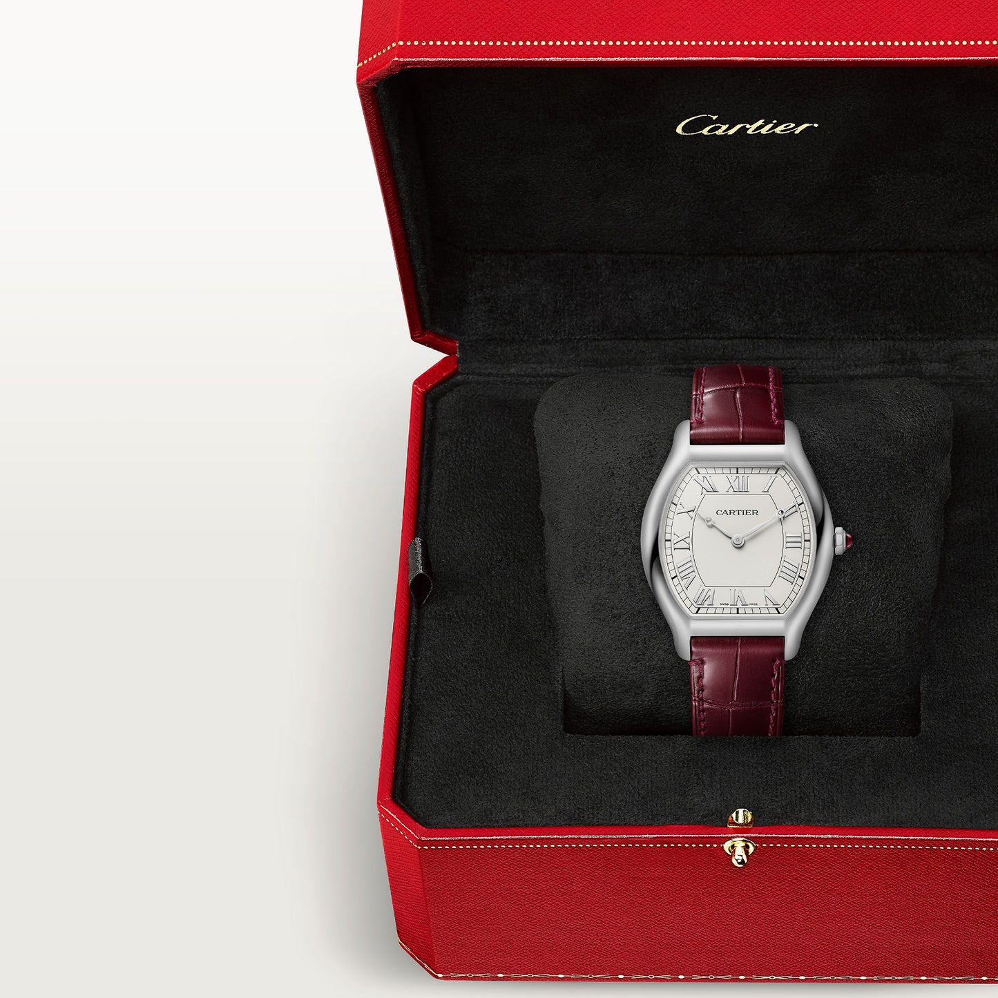 Montre tortue edition limitée à 200 exemplaires