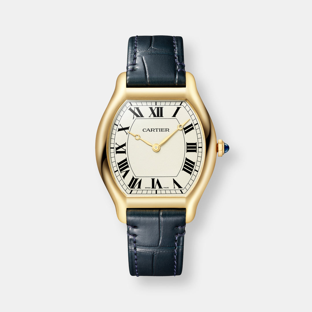 Montre tortue édition limitée à 200 pièces