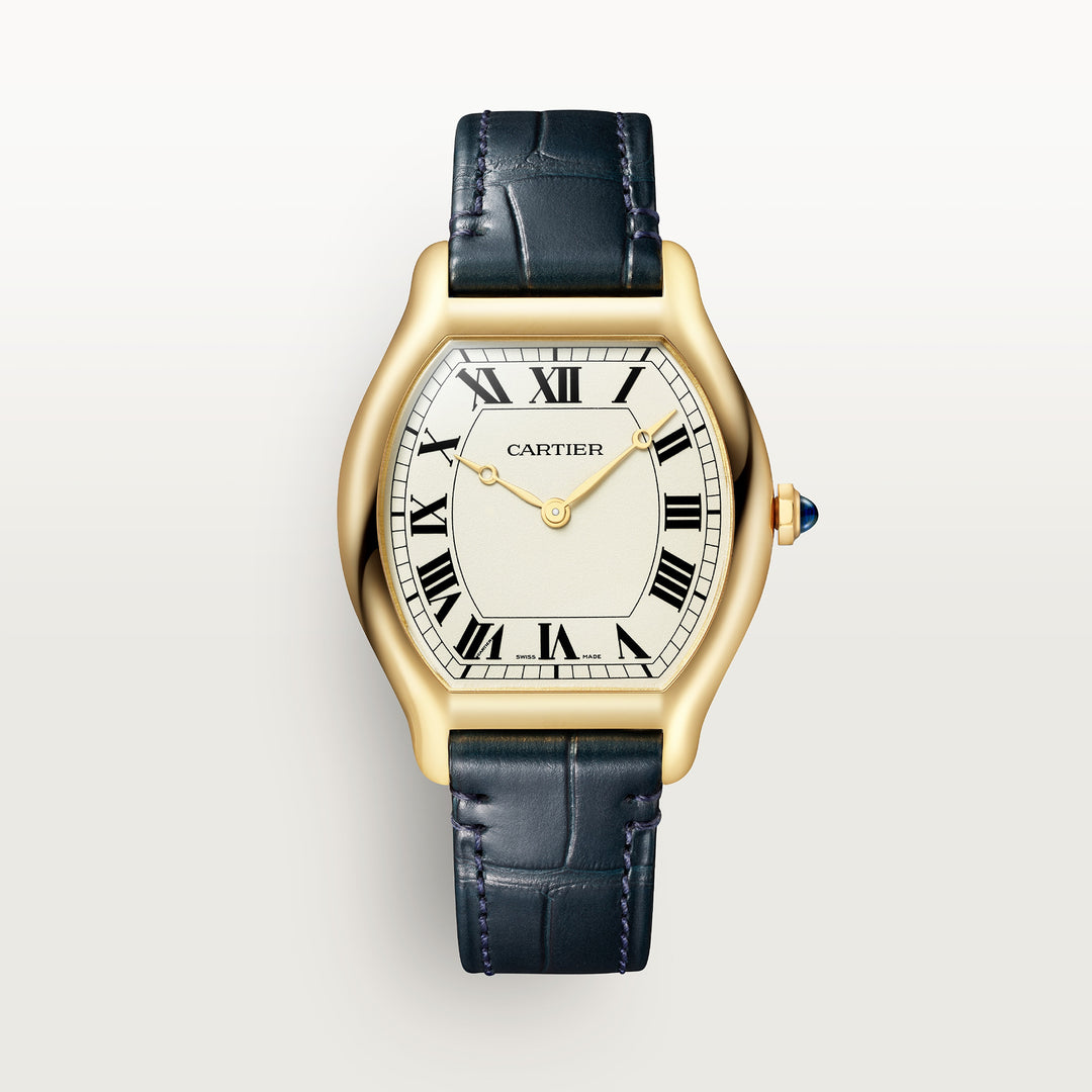 Montre tortue édition limitée à 200 pièces