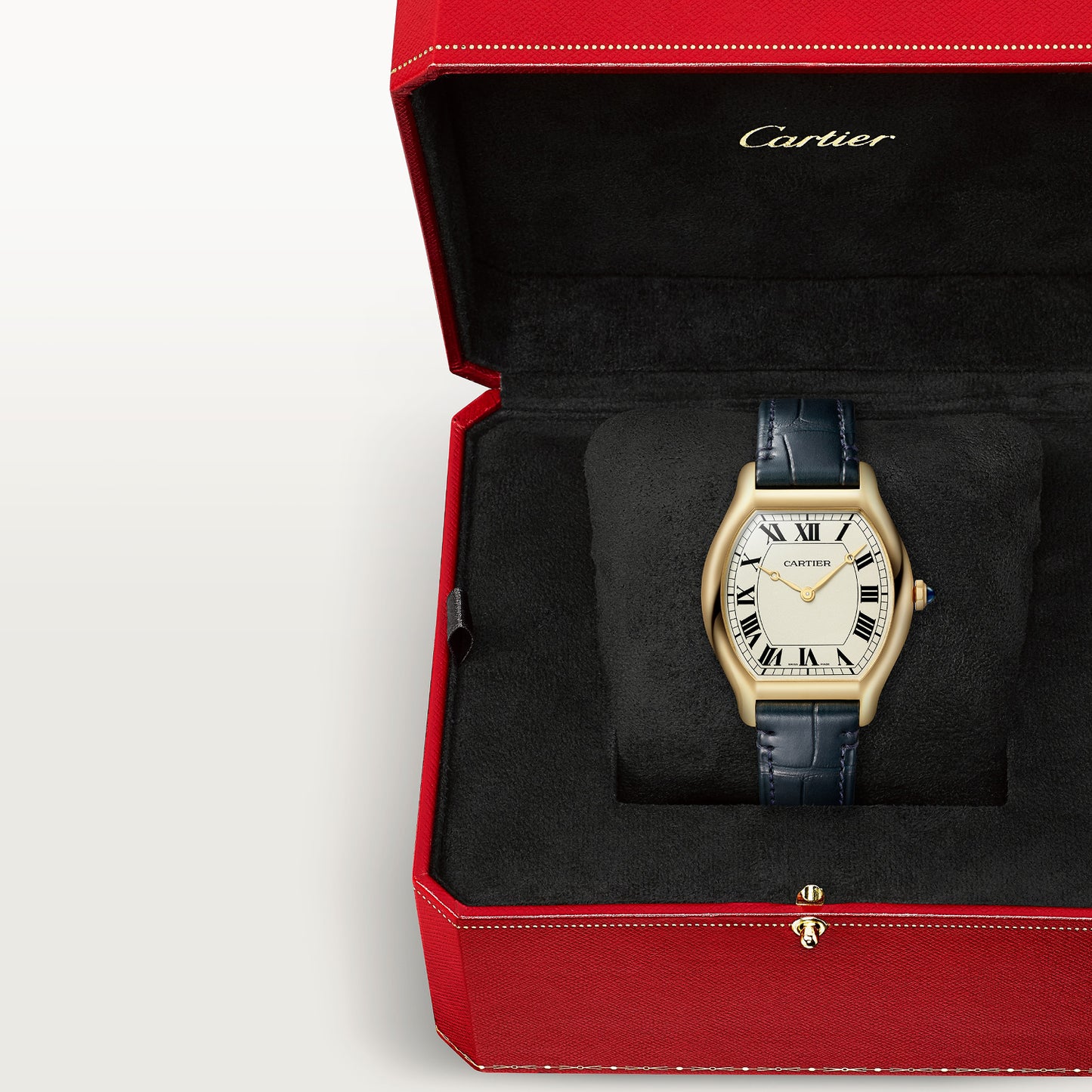 Montre tortue édition limitée à 200 pièces