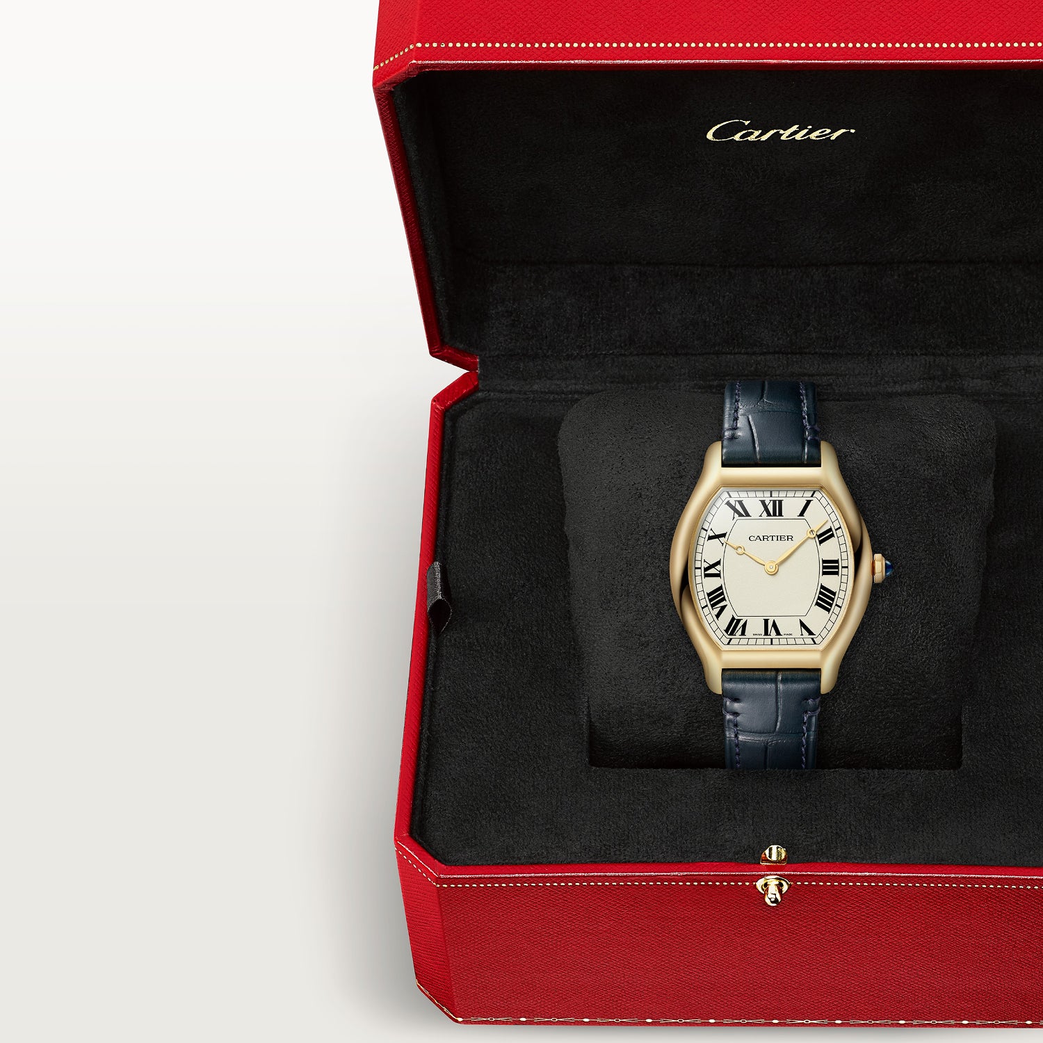 Montre tortue édition limitée à 200 pièces