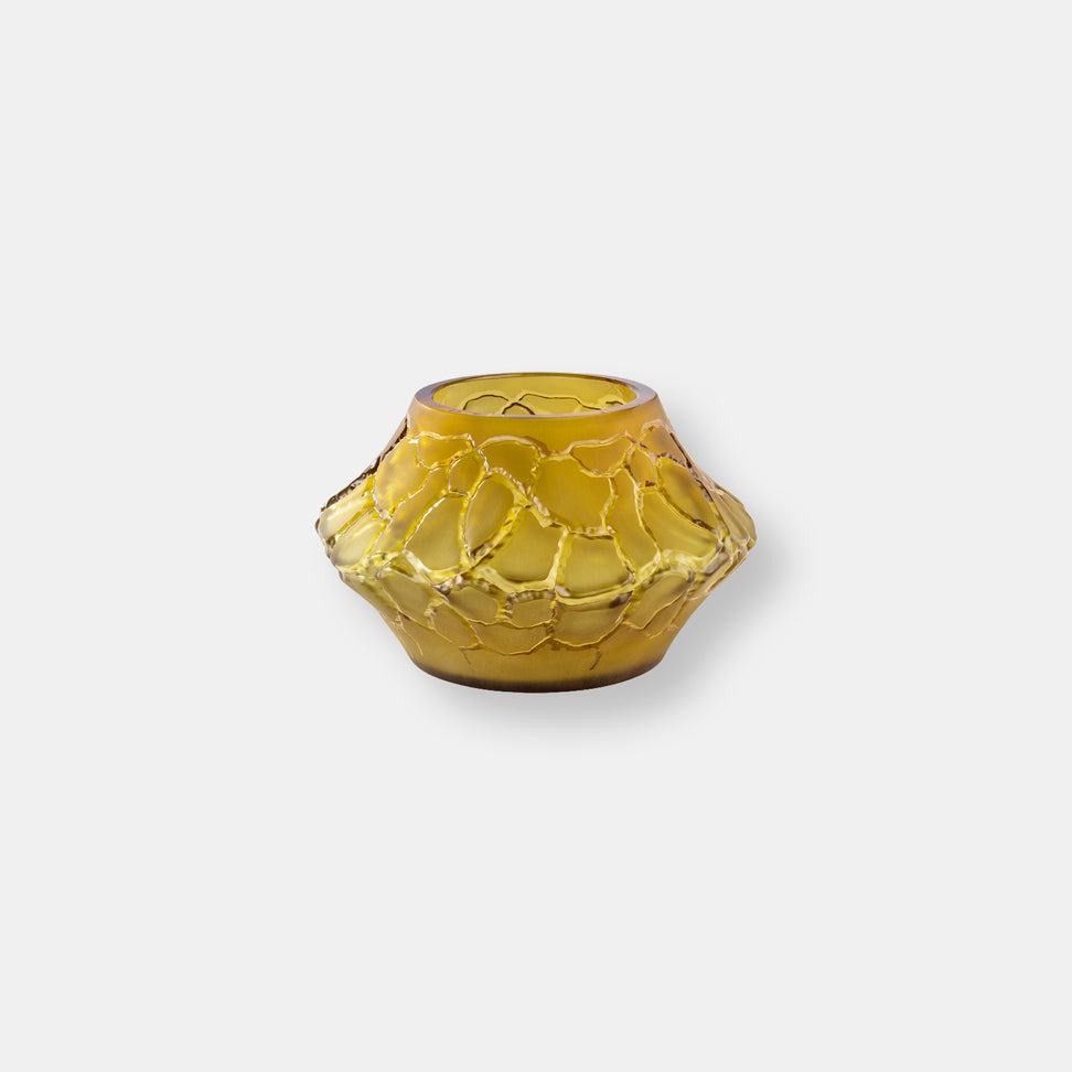 Vase caldera canyon