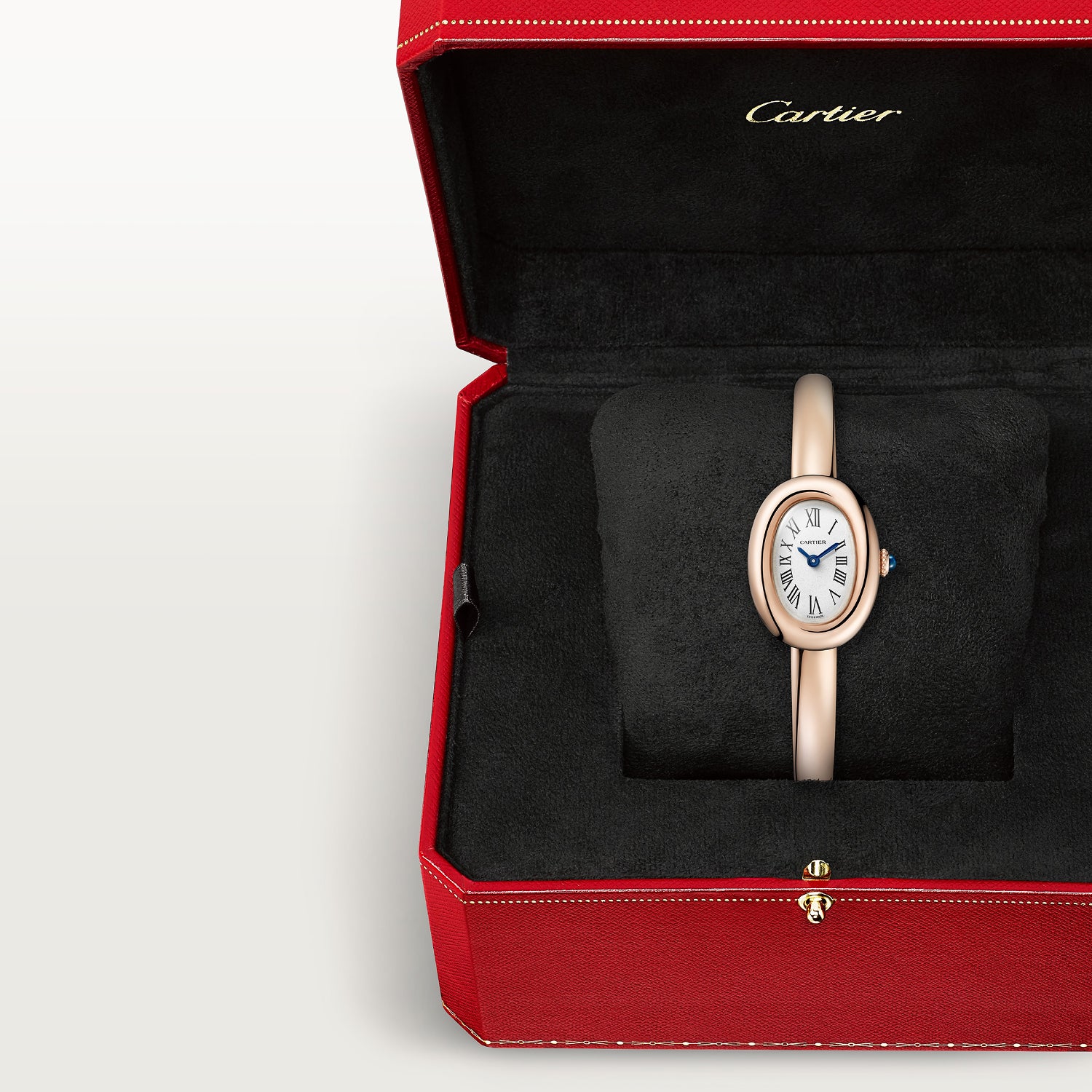 Montre baignoire