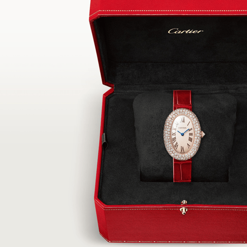 Montre baignoire