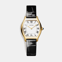 Montre tortue