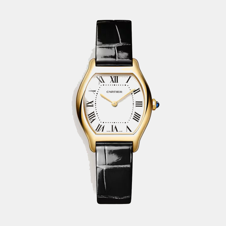 Montre tortue