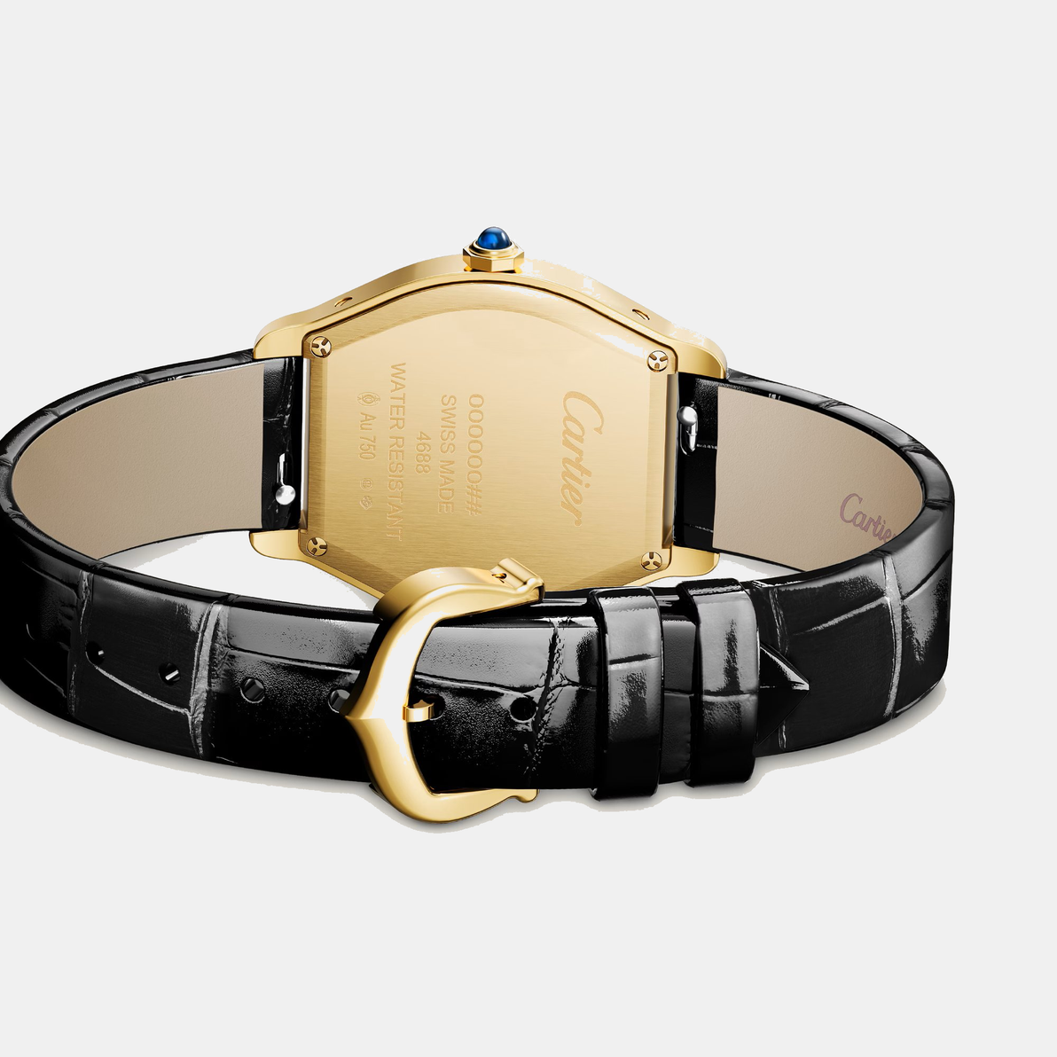Montre tortue