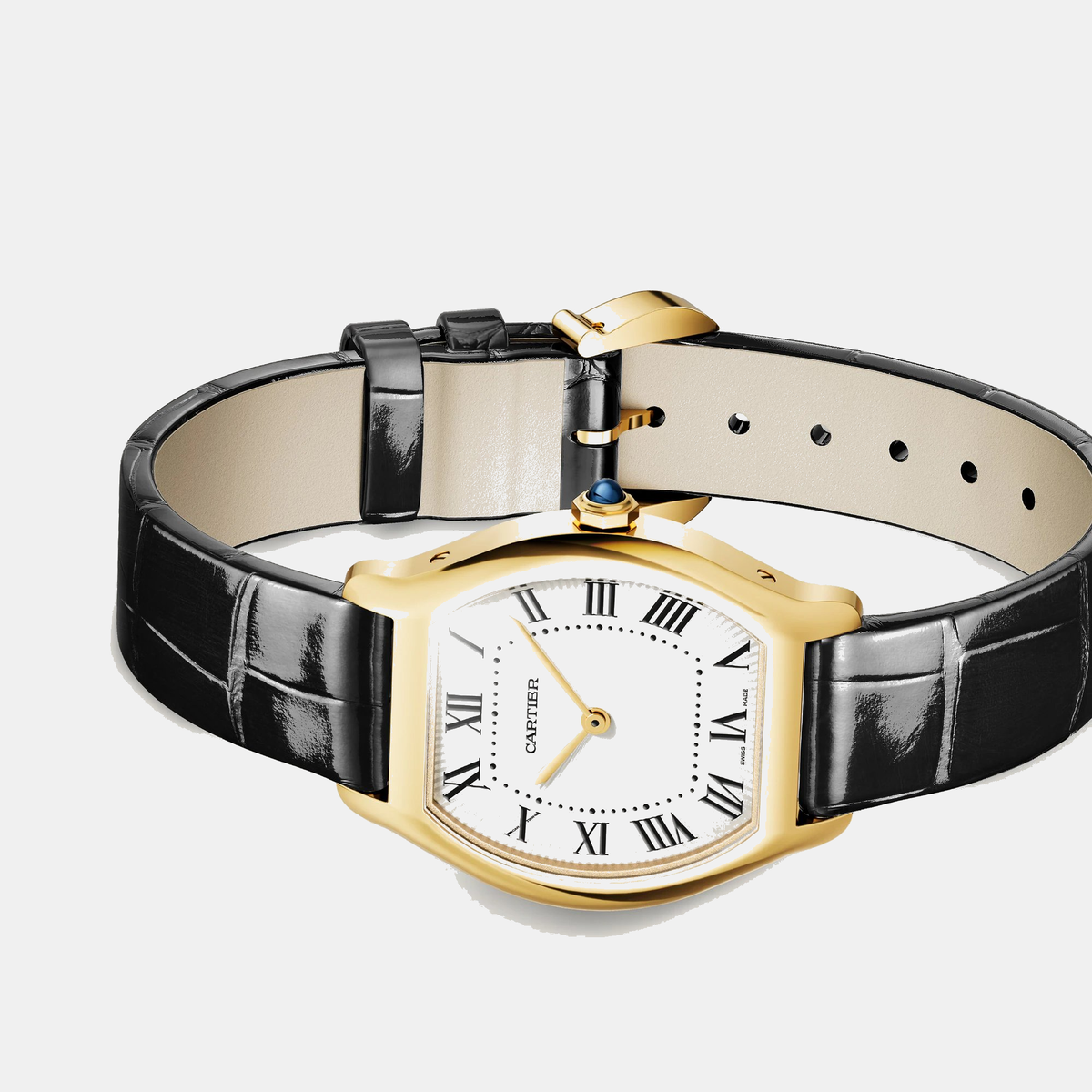 Montre tortue