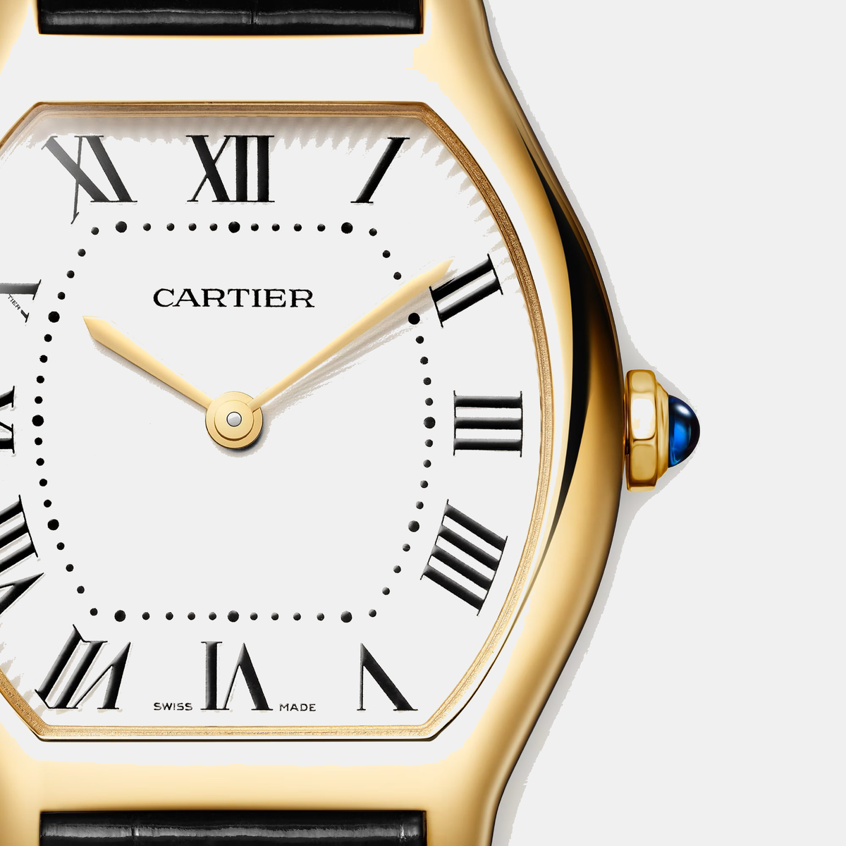 Montre tortue