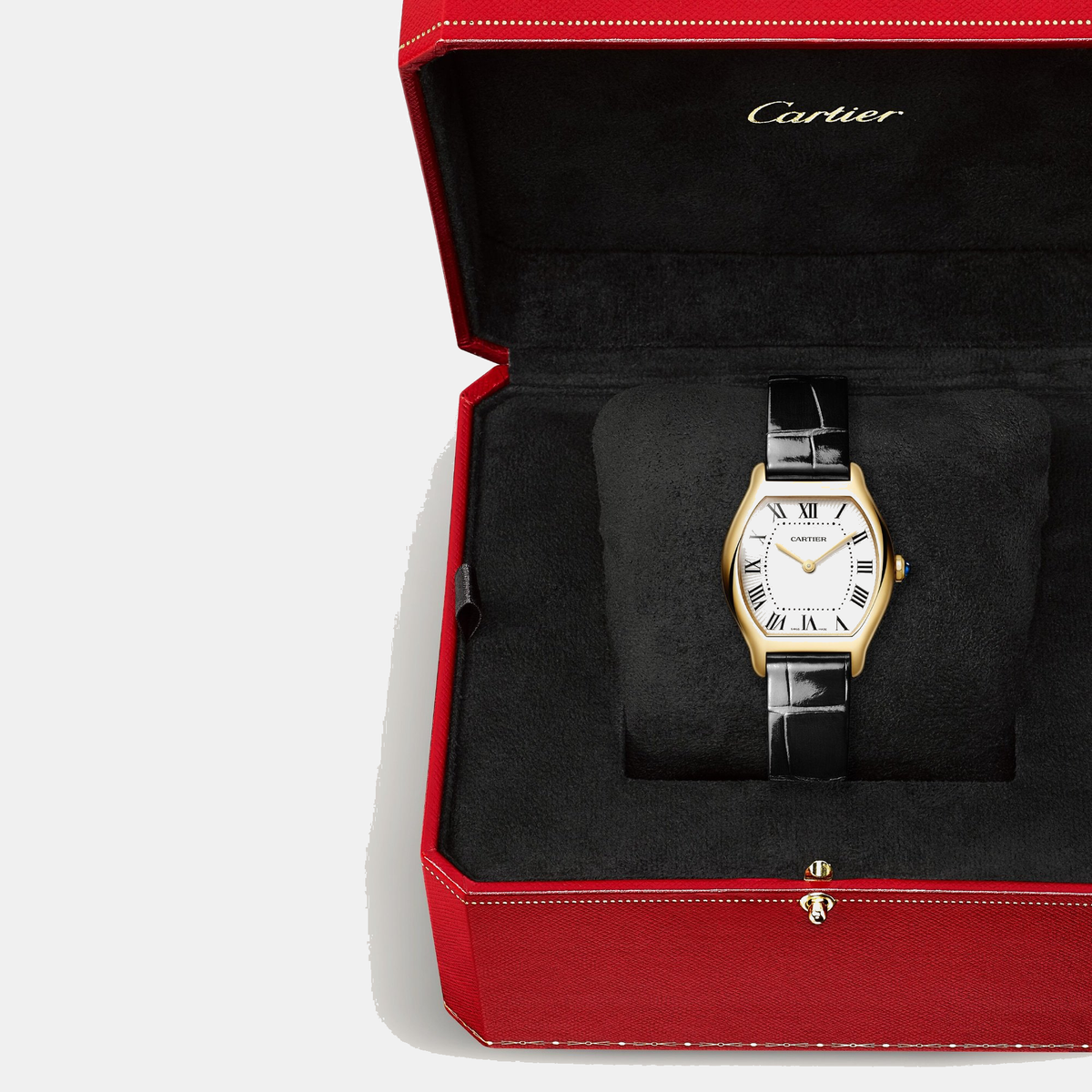 Montre tortue